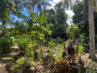 Lokobe forest lodge - Nosy Be - 4