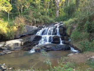 Nethras Estate Stay - Madikeri - 0