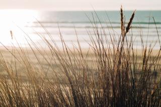 West Bay - Middelkerke - 9