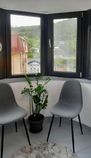 Chiriac's House - Târgu Ocna - 3