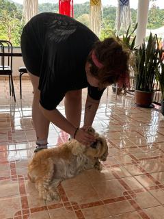 The Villa Angeline - 7