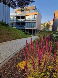 Apartamentai Šventojoje - 8