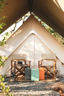 The Leadwood Safari Camp - 7