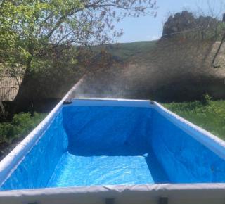 GuestHouseBjni - Bjni - 8
