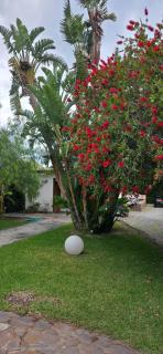 Ipsy by Penta Dream House - Campofelice di Roccella - 3