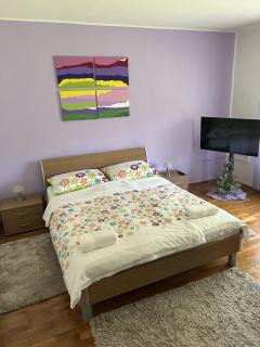 Erika Apartman - Kastav - 5