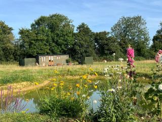 Hidden Gem Luxury Shepherd Hut - Pea Pod - Wimbish - 7