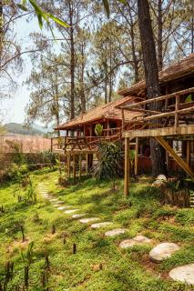 Phoenix Mộc Châu Resort - Mộc Châu - 1