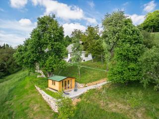 Holiday Homes Pr Pelaku with Sauna - Slap ob Idrijci - 3