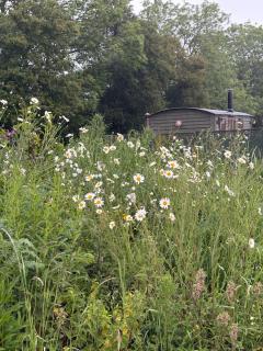 Hidden Gem Luxury Shepherd Hut - Pea Pod - Wimbish - 4