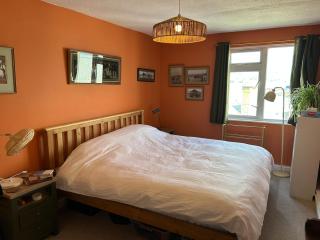 Cosy flat by Penzance harbour - Penzance - 7