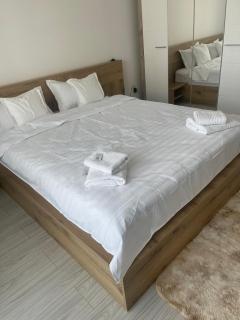 Studio Residence Valea Adâncă - Valea Adîncă - 0