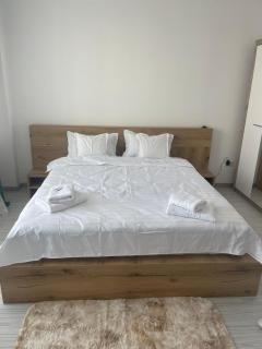 Studio Residence Valea Adâncă - Valea Adîncă - 6
