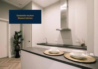 Suite With Bath City Center Villa Tilburg - Tilburg - 5