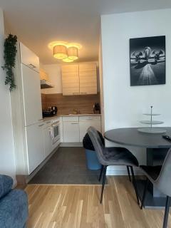 Chic 1BR & 1LR Apt only 9 Min to City Center, King Bed, Metro Access - Wenen - 5
