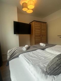 Chic 1BR & 1LR Apt only 9 Min to City Center, King Bed, Metro Access - Wenen - 7