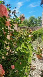 La Casa di LucaPietro Dimora Storica - Spoleto - 1