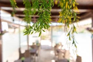 B&B Tenuta Barone - 5