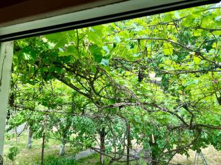Karen's house - 2