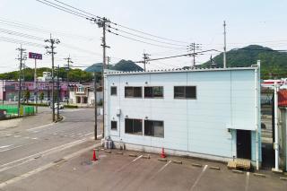 trunk - Mitoyo - 1