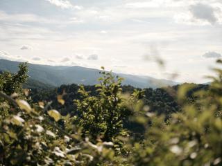 Peak & Pause near Maribor - 6