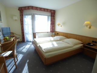 Hotel Landhaus Silbertanne - Rotenburg an der Fulda - 9