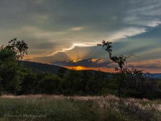 KwaThabisile Bush Retreat - Cullinan - 7