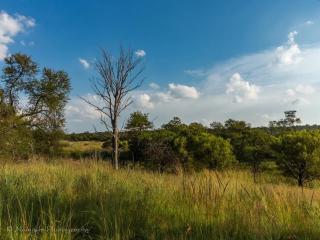 KwaThabisile Bush Retreat - Cullinan - 4
