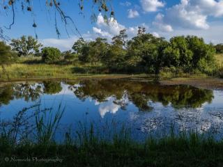 KwaThabisile Bush Retreat - Cullinan - 2