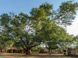 KwaThabisile Bush Retreat - Cullinan - 1