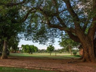 KwaThabisile Bush Retreat - 1