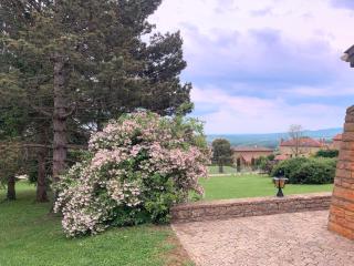 L'instant Beaujolais 2 ou 4 personnes Logis cosy balnéo vue jardin - Theizé - 4