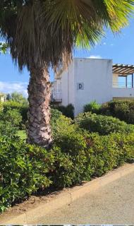 bel appartement avec jardin - Poggio-Mezzana - 5
