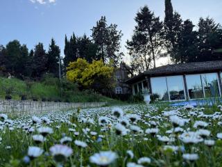 Blue Moon Relais - Santa Maria di Scacciano - 3