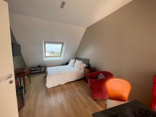 Chambre 20M2 LTDP - Le Tour-du-Parc - 9