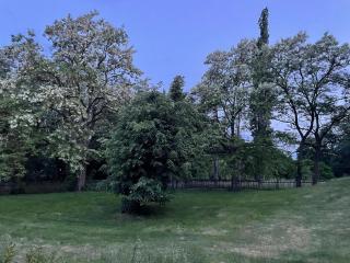 Gartenwohnung - Döbeln - 4
