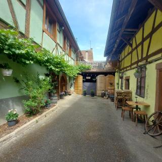 Gîte typique alsacien maison vigneronne 18e siècle - Beblenheim - 0