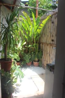 BAY DE EMMANUEL Room Rental - Dauin - 1