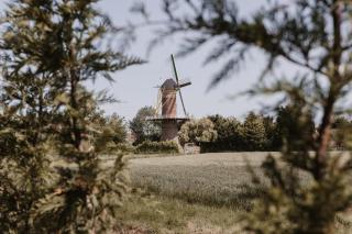 B&B Mon Plaisir - Wolphaartsdijk - 2
