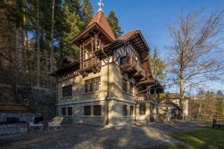 Vila Negoiu - Sinaia - 0
