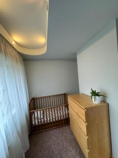 Daliņa mansard - Valmiera - 4