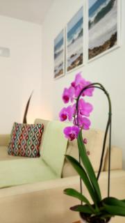 Apê em Ubatuba Praia, Centro e Mercado a Pé - 5