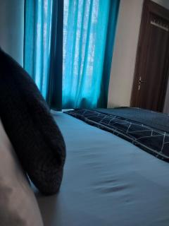 The Kishan's Nest - 1