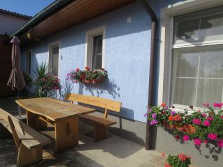 Ferienwohnung 2 - St. Andrä am Zicksee - 8