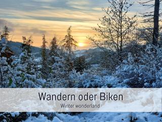 Ferienwohnung im Sauerland Hunde willkommen Kamin und Garten am Waldrand Muehls-Sauerland - 8