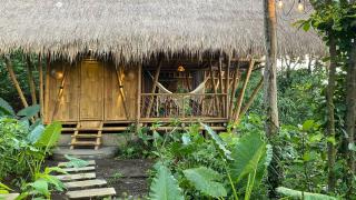 Sandag Jungle - Silebeng - 6