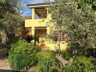Alga House - San Teodoro - 0