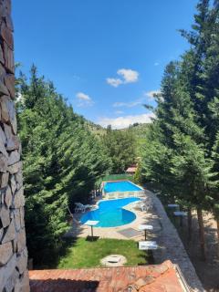 Villa Dalmatina with pool - Kumanovo - 0