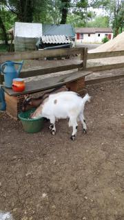 Gite 4 personnes - 6