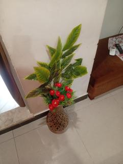 One bed apartment bin chiragh height - Rawalpindi - 5